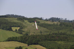zm.IMG_3130