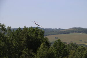 zm.IMG_3133