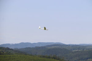 zm.IMG_3139