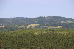 zm.IMG_3143
