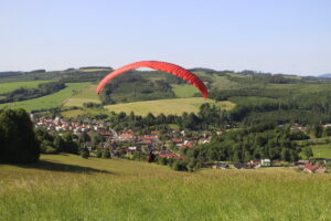 zm.IMG_3181