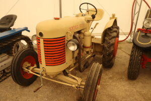 zm.IMG_3699