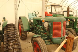 zm.IMG_3701