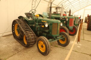 zm.IMG_3702