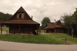 zm.IMG_3704