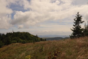 zm.IMG_3708