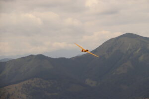 zm.IMG_3741
