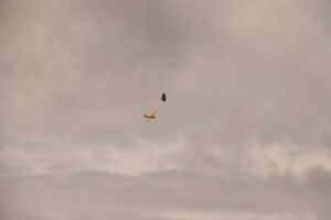 zm.IMG_3754