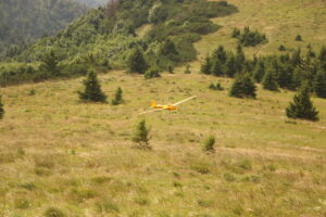 zm.IMG_3766