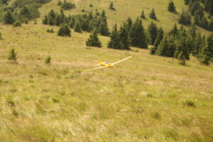 zm.IMG_3770