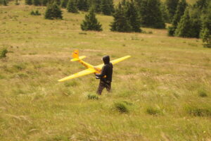 zm.IMG_3781