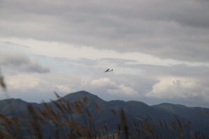 zm.IMG_3803