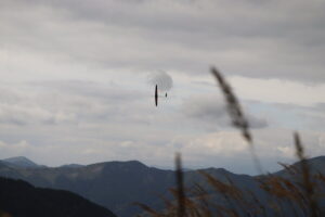 zm.IMG_3805