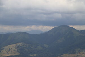 zm.IMG_3854