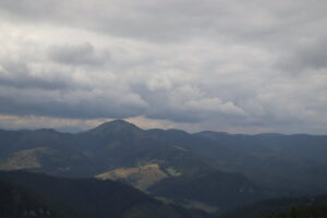 zm.IMG_3855