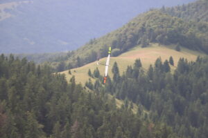 zm.IMG_3876