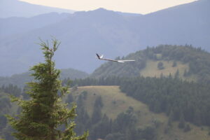 zm.IMG_3881