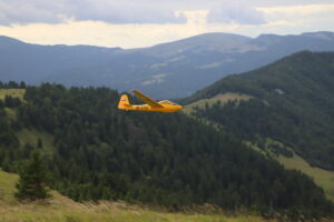 zm.IMG_3912