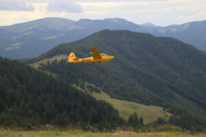 zm.IMG_3913