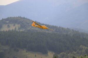 zm.IMG_3931