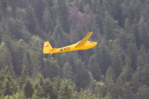 zm.IMG_3934
