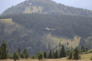 zm.IMG_3942