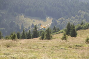 zm.IMG_3955