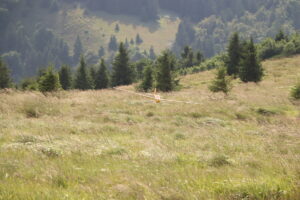 zm.IMG_3963