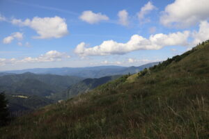 zm.IMG_3993