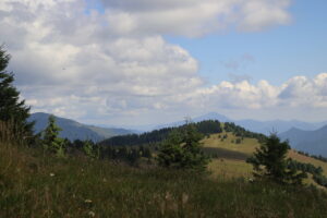 zm.IMG_3995