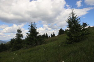 zm.IMG_4068
