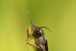 zm.IMG_4094