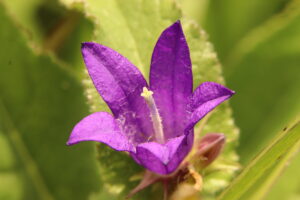 zm.IMG_4103
