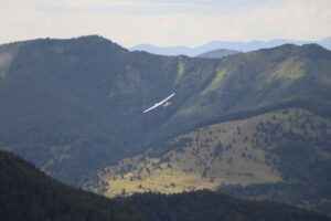 zm.IMG_4166