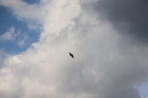 zm.IMG_4172