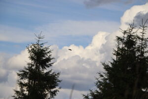 zm.IMG_4178