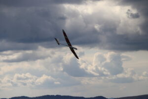 zm.IMG_4181