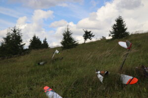 zm.IMG_4203