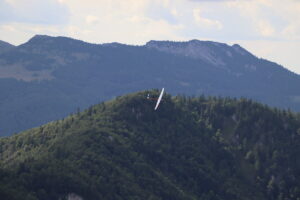 zm.IMG_4204
