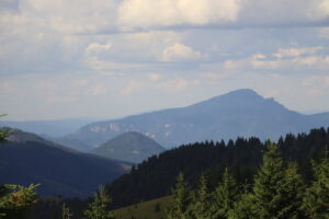 zm.IMG_4227