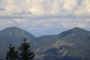 zm.IMG_4246