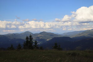 zm.IMG_4247