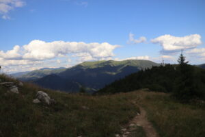zm.IMG_4251
