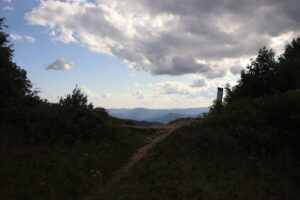 zm.IMG_4256