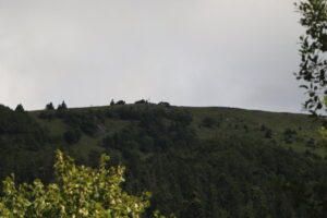 zm.IMG_4269