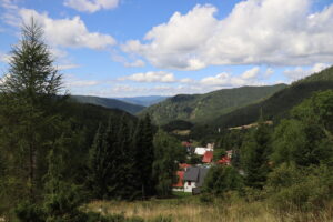 zm.IMG_4271