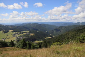 zm.IMG_4277