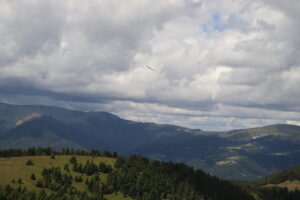 zm.IMG_4282
