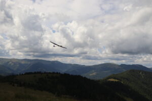 zm.IMG_4315
