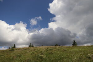 zm.IMG_4318
